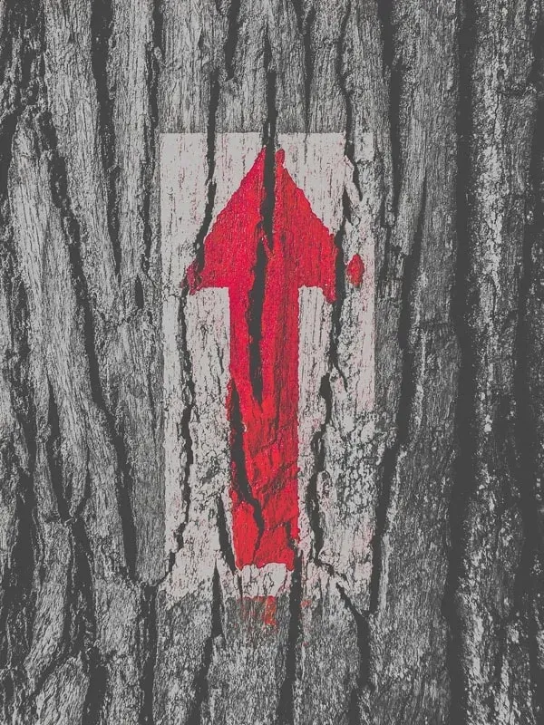kierunek-plakat-30x40-cm