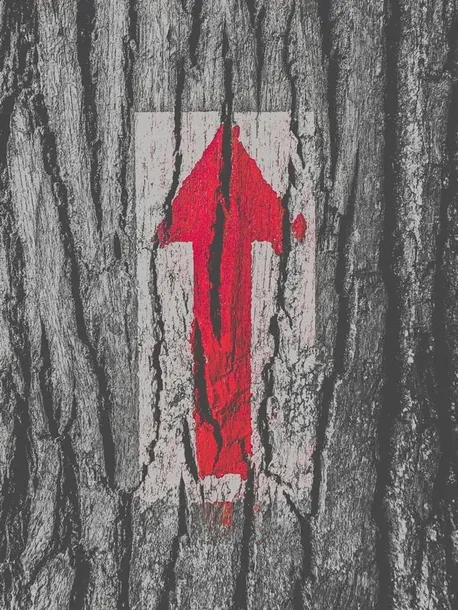 kierunek-plakat-40x60-cm