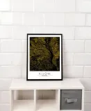 kijow-zlota-mapa-plakat-20x30-cm-stan-nowy