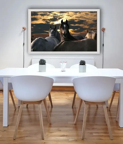 konie-plakat-50x40-cm-stan-nowy