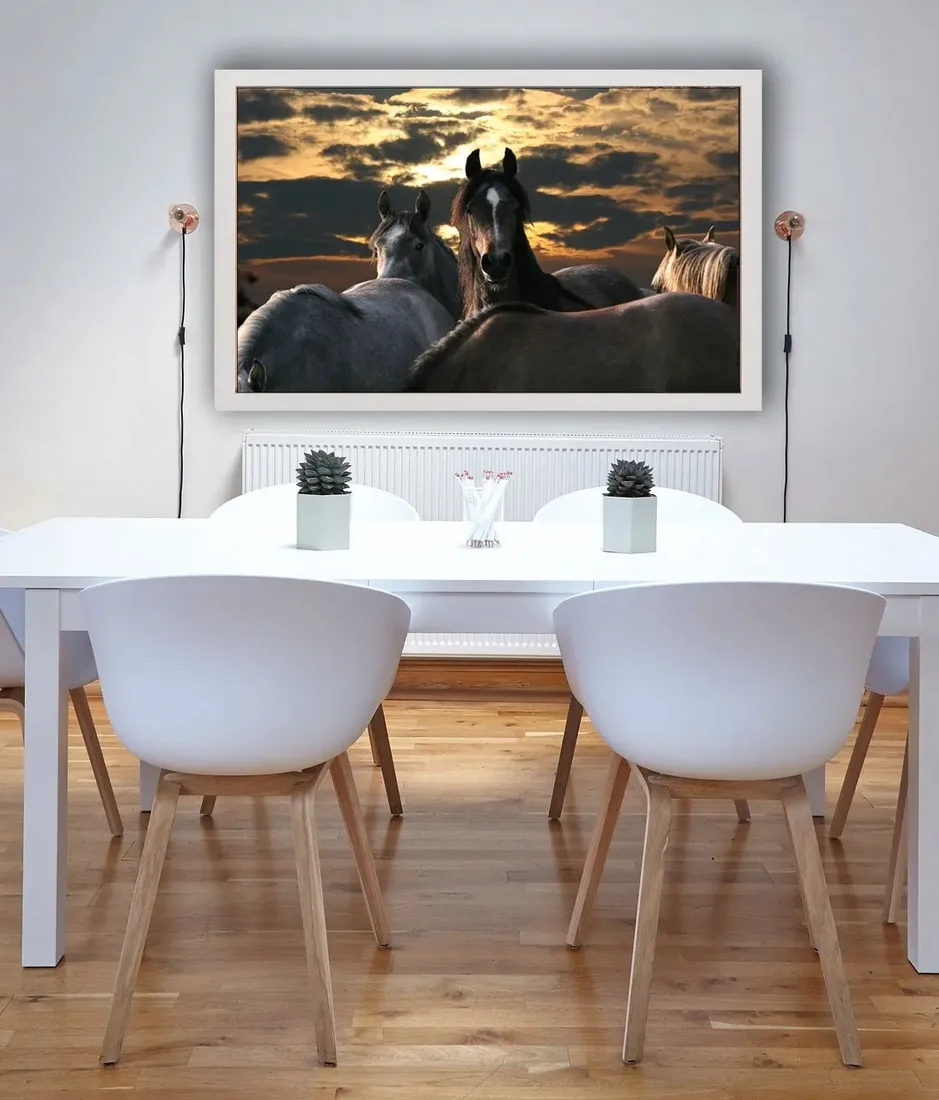 konie-plakat-50x40-cm