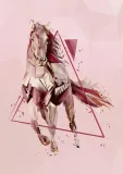 kon-plakat-61x915-cm