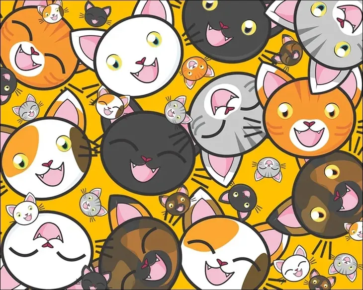 kotki-plakat-30x20-cm