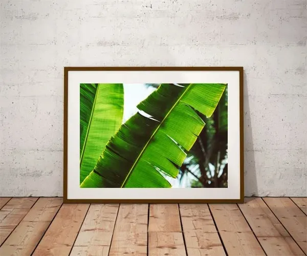 leaf-plakat-100x70-cm