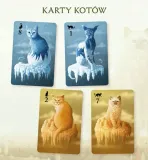 nasza-ksiegarnia-koty-stan-nowy