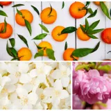 puder-do-kapieli-rozswietlajacy-zapach-aperol-relax-luksus-dresdner-essenz-zapach-sunset-glow