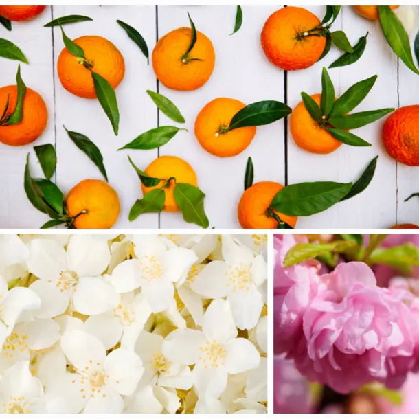 dresdner-essenz-puder-do-kapieli-sunset-glow-relaks-luksus-kod-producenta-pb19341-0060-de-d012