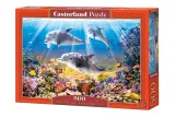 puzzle-500-el-dolphins-underwater