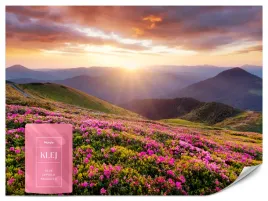 fototapeta-do-salonu-zachod-slonca-gory-kwiaty-natura-pejzaz-3d-200x140