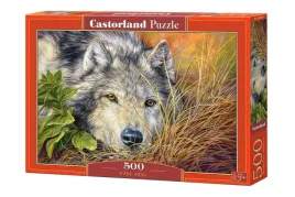 puzzle-500-el-pure-soul