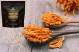 solvelabs-cordyceps-50g-waga-netto-50-g
