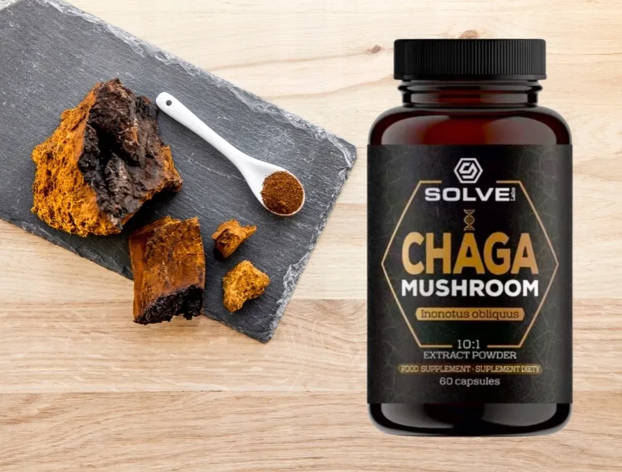 solvelabs-chaga-kapsulki