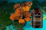 solvelabs-chaga-kapsulki-kod-producenta-0001