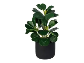 sztuczna-roslina-peperomia-30cm-czarna-donica-dekoracja-ozdoba-livarno-home