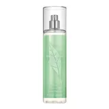 green-tea-mgielka-do-ciala-236ml