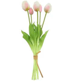 tulipan-gumowany-wiazka-x5-bialo-rozowy-sp