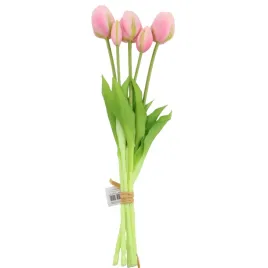 tulipan-gumowany-wiazka-x5-rozowy-sp