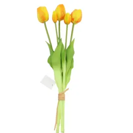 tulipan-gumowany-wiazka-x5-zolto-pomaranczowy-sp