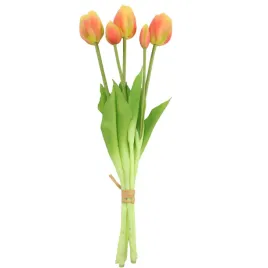 tulipan-gumowany-wiazka-x5-zolto-lososiowy-sp