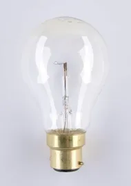 zarowka-a60cl-24v-100w-b22d-nis-0543