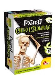 zestaw-naukowy-poznaj-cialo-czlowieka-lisciani-zabawka-edukacyjna