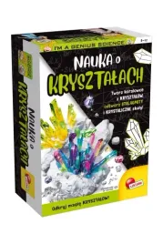 zestaw-naukowy-eksperymenty-z-elektrycznoscia-lisciani-zabawka-edukacyjna