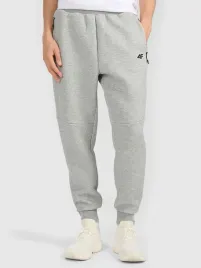 spodnie-dresowe-meskie-joggery-4f-4frmm00ttrom1623-27m-szary-s
