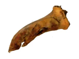 racica-stopka-noga-wieprzowa-suszona-naturalny-gryzak-dla-psa-20cm