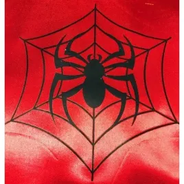 nadruk-pajak-na-pajeczynie-naprasowanka-termo