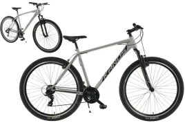 rower-mtb-29-kands-guardian-rama-19-szary-r24