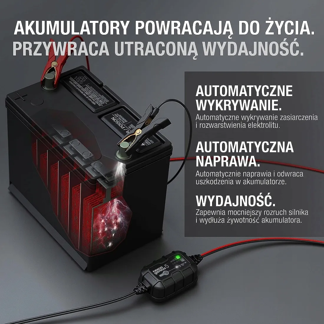 prostownik-samochodowy-ladowarka-tryb-naprawy-noco-stan-nowy
