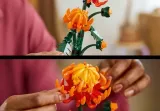 lego-botanicals-10368-chryzantema-stan-nowy-certyfikaty-opinie-atesty-ce