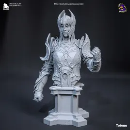 figurka-dame-aylin-baldur-s-gate-3-popiersie-bulkamancer-druk-3d-14k