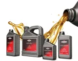 olej-silnikowy-briggsandstratton-sae30-06l-kod-producenta-100005e