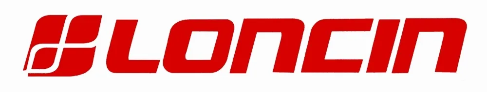 silnik-spalinowy-loncin-lc1p70fc-b-e5