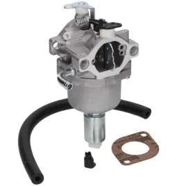 gaznik-briggsandstratton-591731-594593-794572