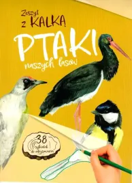 ptaki-naszych-lasow-zeszyt-z-kalka
