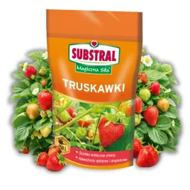 nawoz-do-truskawek-magiczna-sila-interwencyjny-rozpuszczalny-substral-350-g
