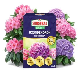 substral-osmocote-rododendron-hortensja-nawoz-dlugo-dzialajacy-raz-na-sezon