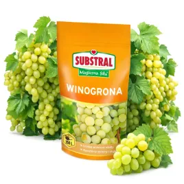 nawoz-do-winogron-magiczna-sila-interwencyjny-rozpuszczalny-substral-350-g