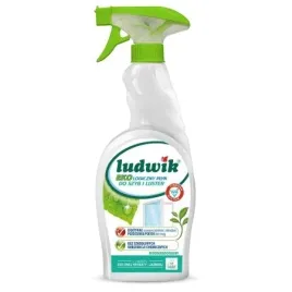 plyn-do-mycia-szyb-i-luster-ecolabel-zielona-0-75l