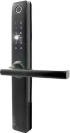 klamka-z-kontrolerem-dostepu-eura-elh-20h4-black