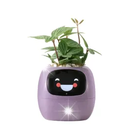 doniczka-ivy-planter-inteligentna-oslonka-smart-donica-porady-ogrodnicze
