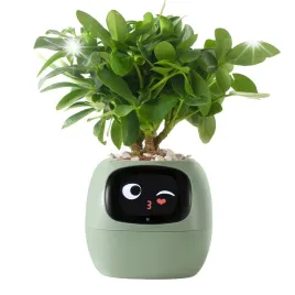 inteligentna-doniczka-ivy-smart-planter-oslonka-na-donice-plantsio-zielona