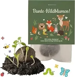 zestaw-kulek-nasion-kwiatow-bomby-nasienne-10-szt-magiczna-magia-kwitnienia