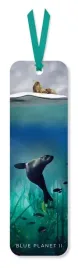 zakladka-do-ksiazki-galapagos-sea-lion