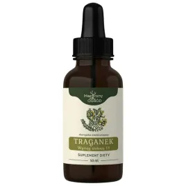 nanga-traganek-bloniasty-korzen-wyciag-ziolowy-1-1-astragalus-krople-50-ml