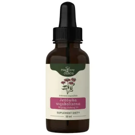 nanga-jezowka-waskolistna-echinacea-wyciag-1-1-wspiera-odpornosc-50-ml