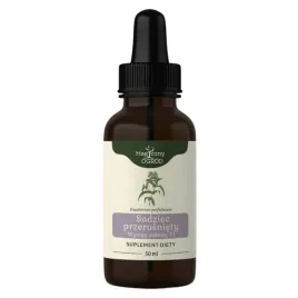 nanga-sadziec-przerosniety-wyciag-ziolowy-1-1-wspiera-odpornosc-50-ml