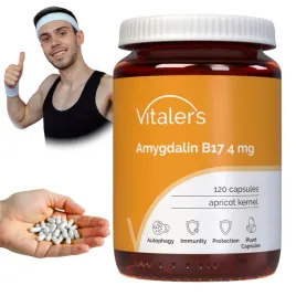 vitaler-s-amigdalina-b17-4-mg-ekstrakt-z-pestek-moreli-120-kapsulek